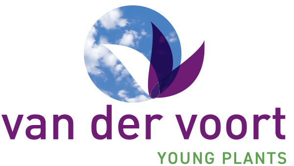Van der Voort Young Plants Logo